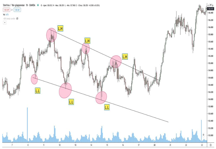 Screenshot 2023 10 04 alle 18.04.11 - Image OFP