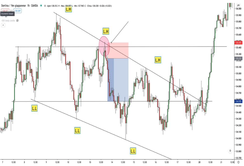 Screenshot 2023 10 04 alle 18.05.30 - Image OFP